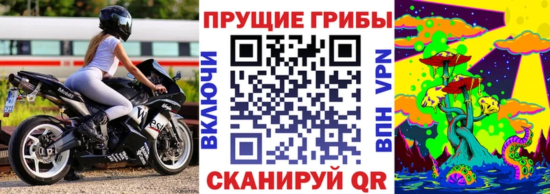 Купить закладки  Дзержинск  Псилоцибиновые грибы прущие грибы 